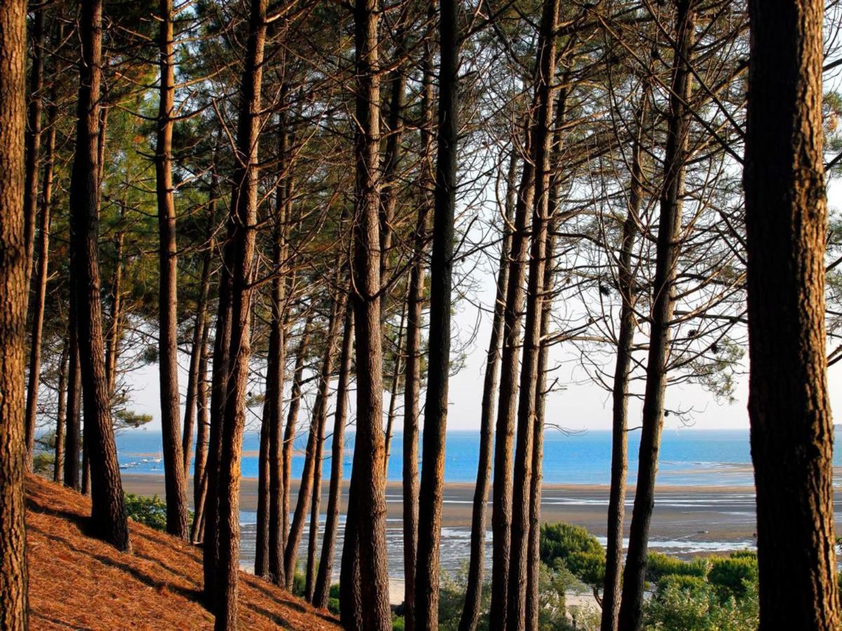 Arcachon Centre : Charmant T2 Avec Loggia, Parking Securise Et Proche Plage - Fr-1-420-61 Exterior photo